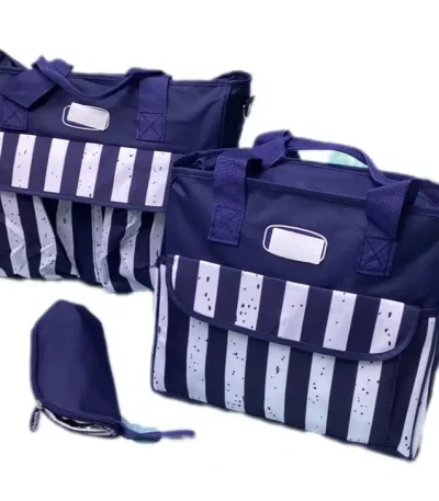 CHICCO BABY STRIPED DIAPER BAG 2