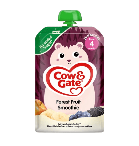 Forest Fruit Smoothie Pouch Visual