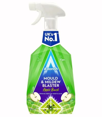 mould MILDEW