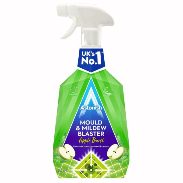 mould MILDEW