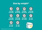 Pampers Baby Dry Nappy Pants Size Guide