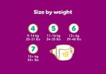 Pampers Premium Protection Nappy Pants Size guide